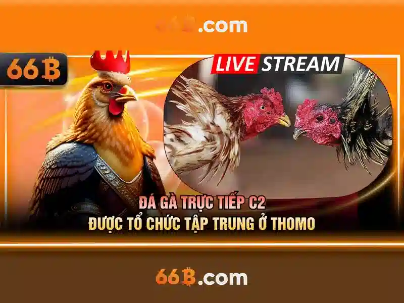 Trải Nghiệm Slot Đỉnh Cao Tại 66B Club