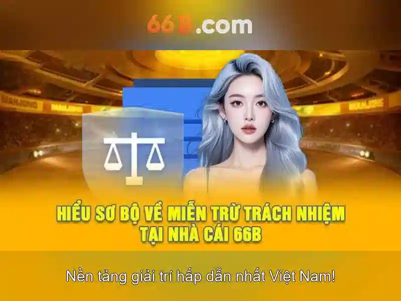 Phạm Vi Áp Dụng Của Chính Sách Từ Chối Trách Nhiệm 66B
