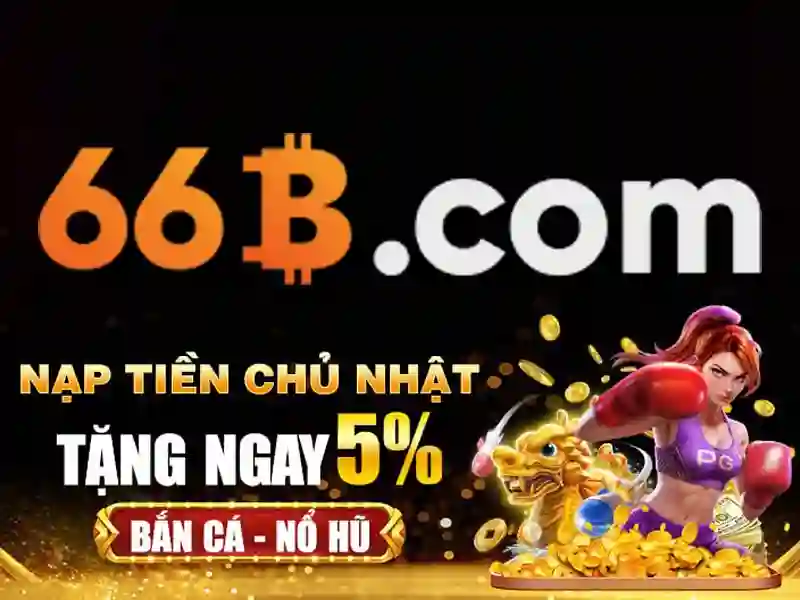 Giới Thiệu 66B – Đôi Nét Về Thương Hiệu